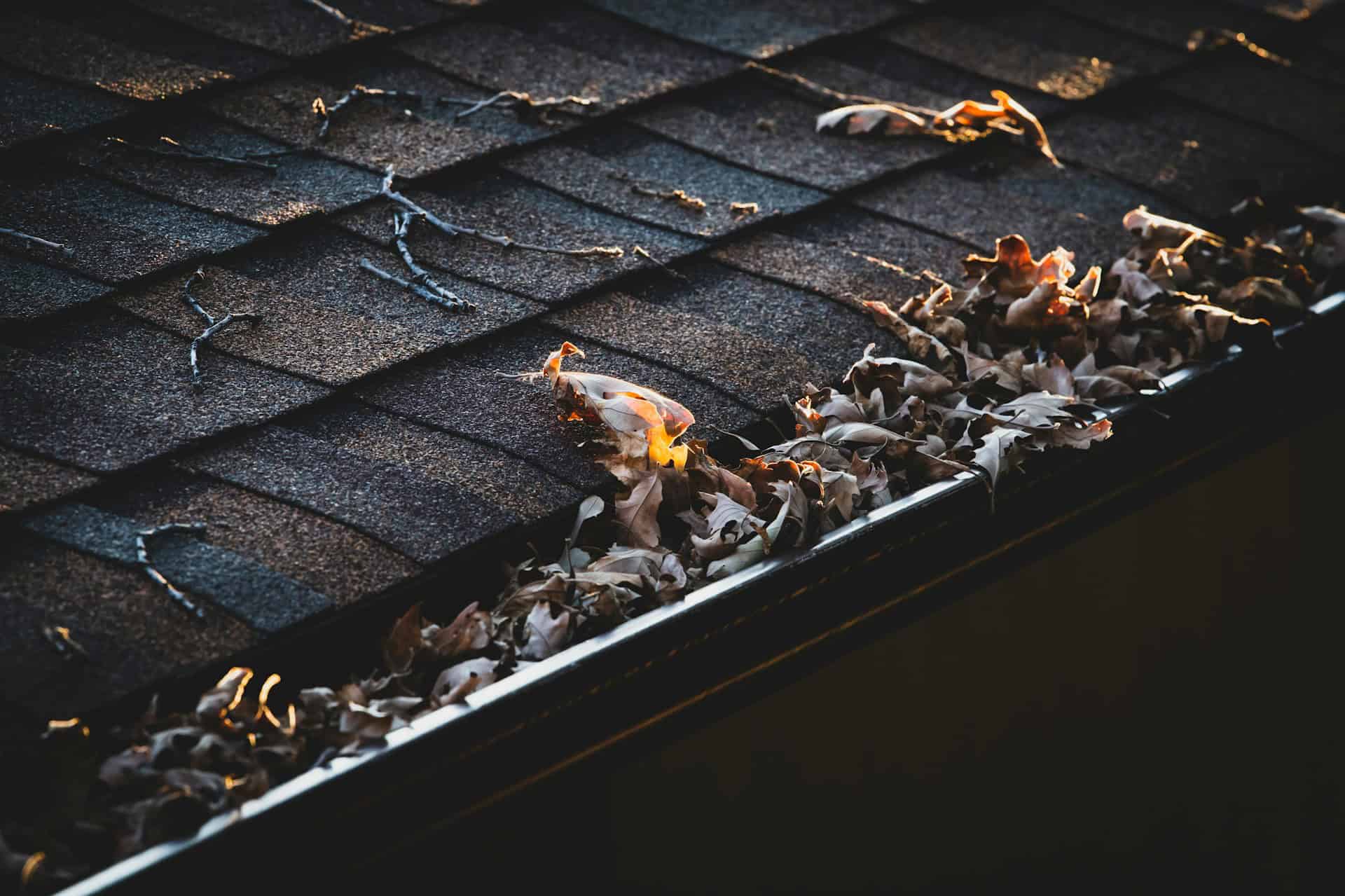Gutter