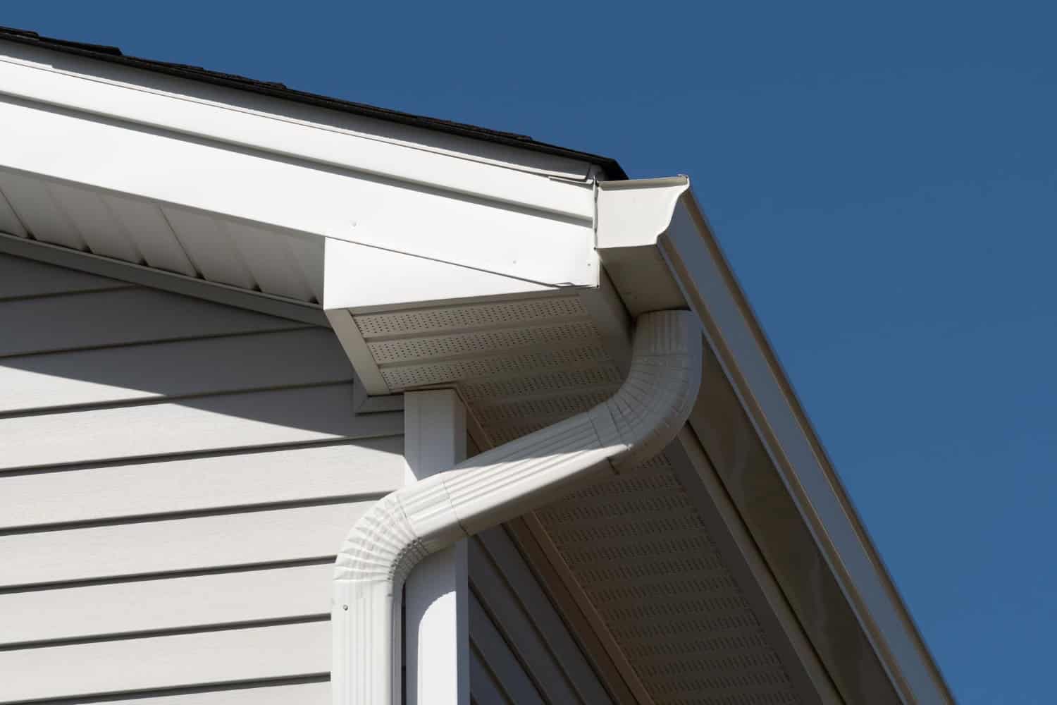 Roof and Gutter
