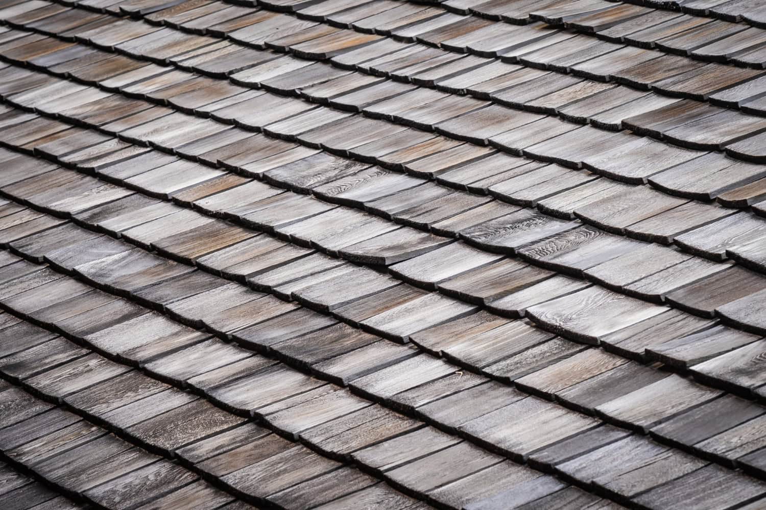 shingle